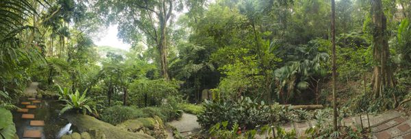باغ گرمسیری مالزی