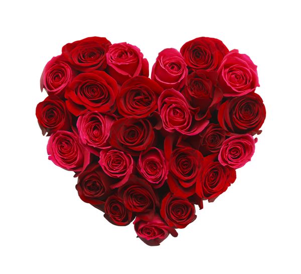 قلب روز ساخته شده از گل رز قرمز جدا شده در پس زمینه سفید