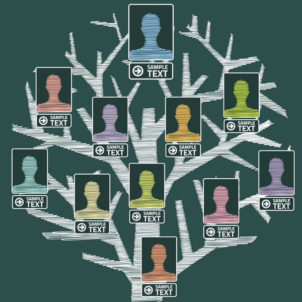 درخت سلسله مراتبی کارکنان شرکت یا می تواند به عنوان شجره نامه ساده شده استفاده شود