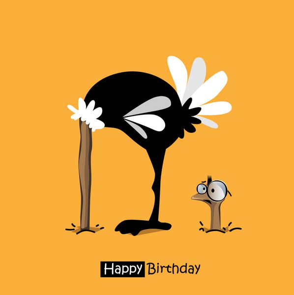 تولدت مبارک پرندگان لبخند خنده دار شترمرغ