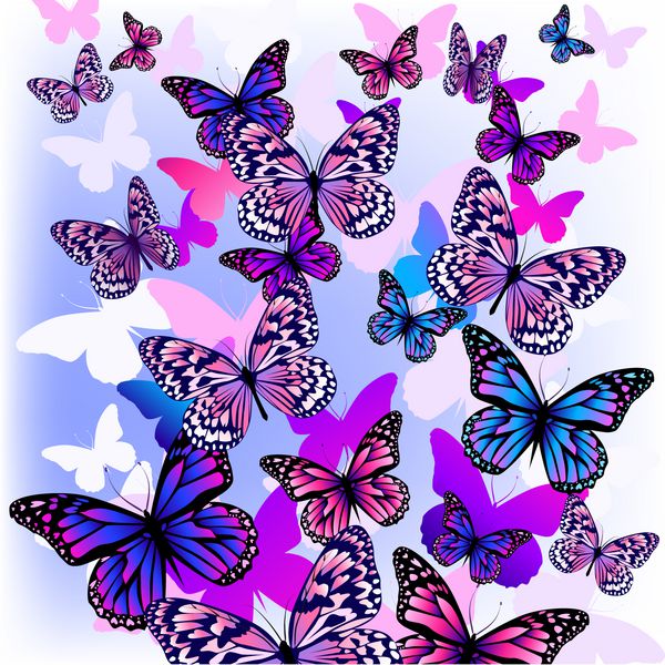 پروانه های پرواز با قلب های روی بال بردار