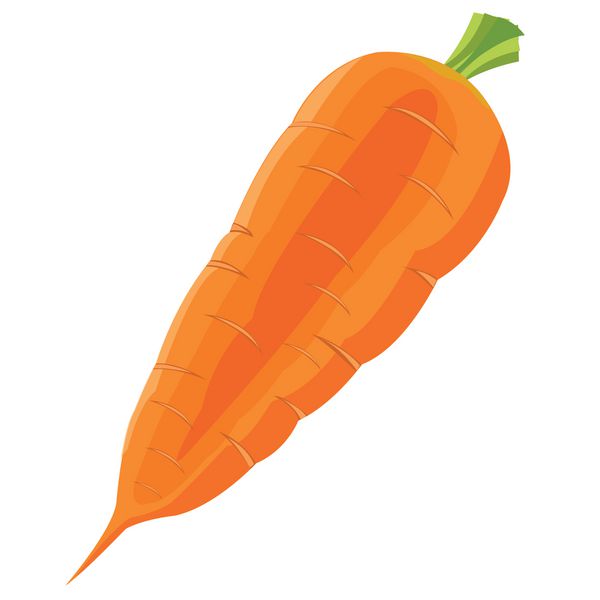 هویج گیاهی در زمینه سفید عایق بندی شده است