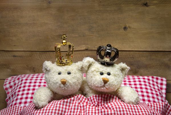 دو خرس عروسکی بژ در رختخواب شطرنجی با تاج - مفهومی برای عشق عروسی ماه عسل