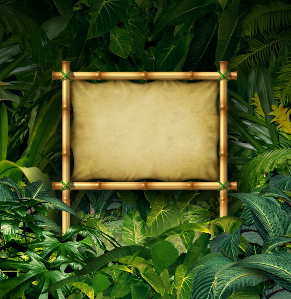 مفهوم بیلبورد خالی علامت جنگل به عنوان یک بنر بامبو در یک جنگل گیاهان گرمسیری پر از پوشش گیاهی سبز به عنوان نمادی از ارتباطات طبیعت یا تبلیغات محیطی