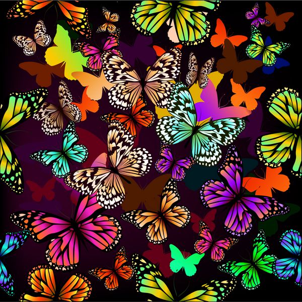 پروانه های رنگی پس زمینه بدون درز بردار