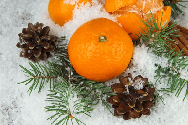 نارنگی های رسیده با شاخه صنوبر در برف از نزدیک