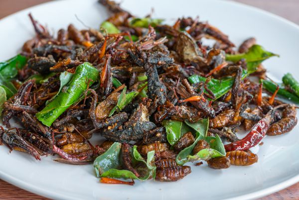 حشرات خوراکی سرخ شده در بشقاب سفید با برگ های سبز آهک مخلوط می شوند حشرات سرخ شده غذای لذیذ منطقه ای در تایلند هستند