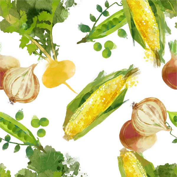الگوی سبزیجات بدون درز آبرنگ از شلغم ذرت پیاز و نخود در زمینه سفید