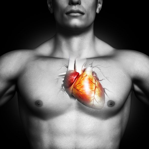 تصویر آناتومی قلب انسان از یک مرد سیاه و سفید در پس زمینه سیاه بخشی از یک سریال پزشکی