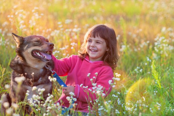دختر کوچک شاد با سگ بزرگ که در چمن نشسته است