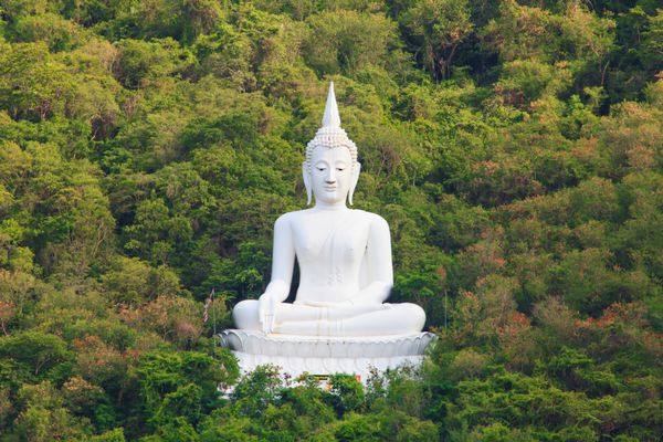 مجسمه سفید بودا در کوه تایلند