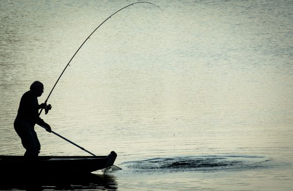 ماهیگیر در حال صید ماهی در دریاچه گرگ و میش