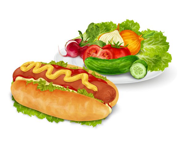 فست فود سگ با خردل و سس کچاپ با سالاد سبزیجات جدا شده در تصویر وکتور پس زمینه سفید