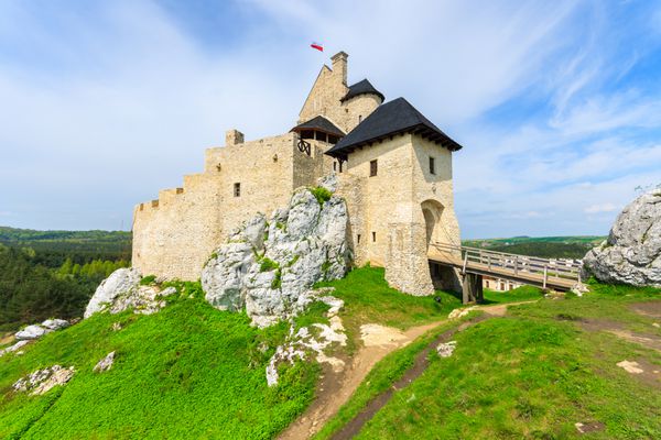 قلعه زیبای قرون وسطایی بوبولیس روی تپه سبز در روز آفتابی لهستان