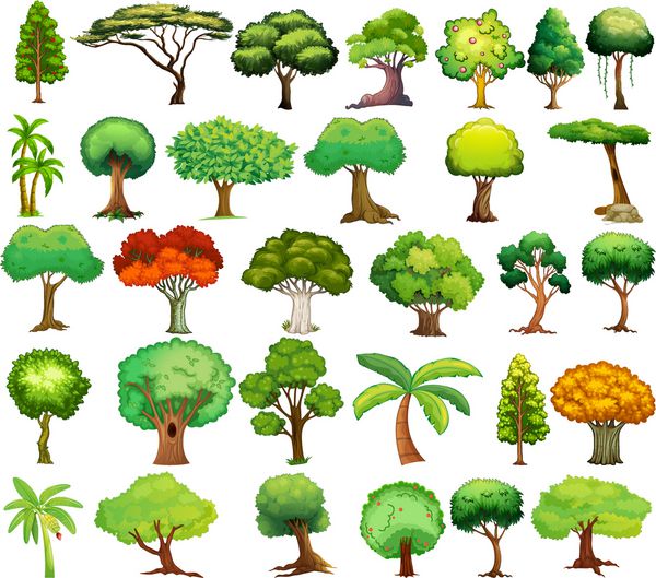 تصویری از انواع مختلف درخت