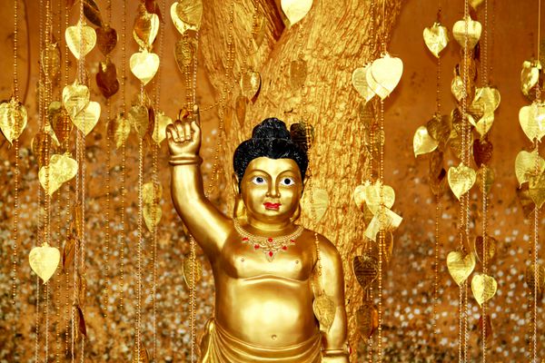 nonthaburi-thailand-april 14 مجسمه بودای جوان زیر درخت طلایی در معبد در 14 آوریل 2014 در استان نونتابوری تایلند