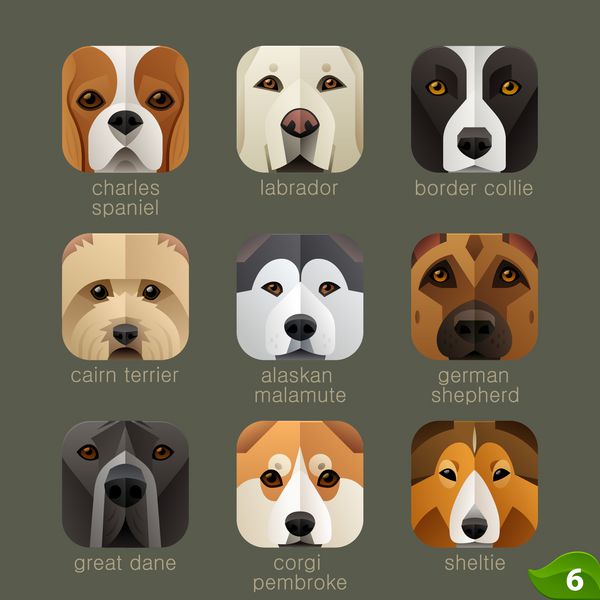 حیوانات fs برای آیکون های برنامه-سگ مجموعه 5