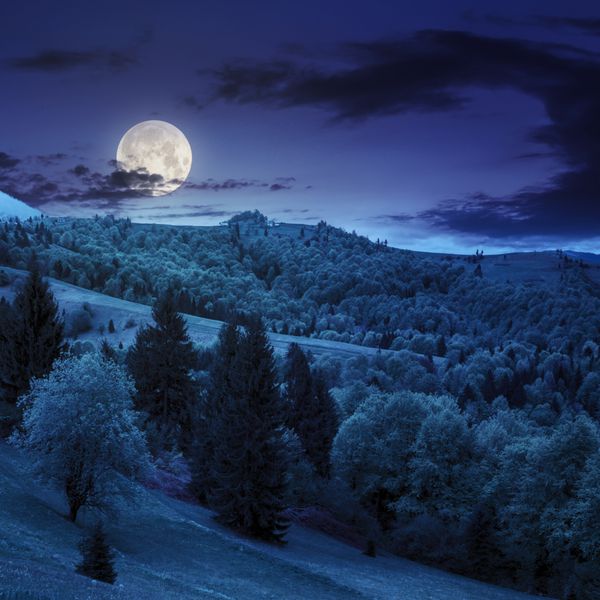 منظره تابستانی روستایی در دامنه تپه جنگل در نور کوه سقوط در پاکسازی کوه در شب در نور ماه کامل