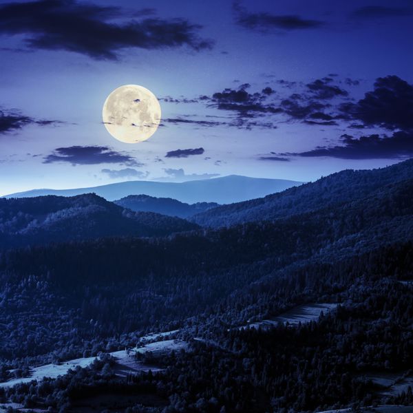 رشته کوه با جنگل های مخروطی در دامنه های آن در شب در نور ماه کامل