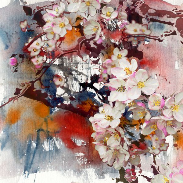 شکوفه درخت سیب نقاشی و پس زمینه هنر ترکیبی
