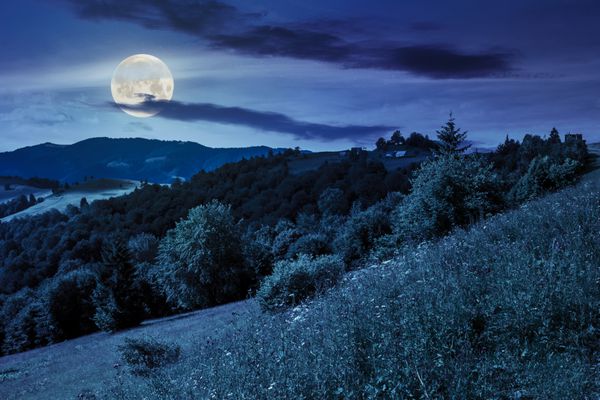 منظره تابستانی روستایی در دامنه تپه جنگل در نور کوه سقوط در پاکسازی کوه ها در شب در نور ماه