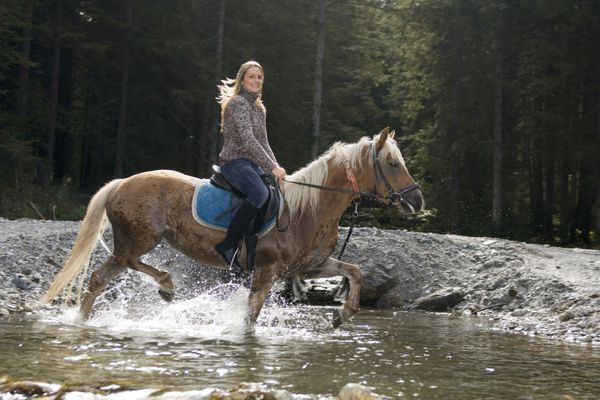 اتریش زمین سالزبرگر آلتنمارکت اسب سواری زن