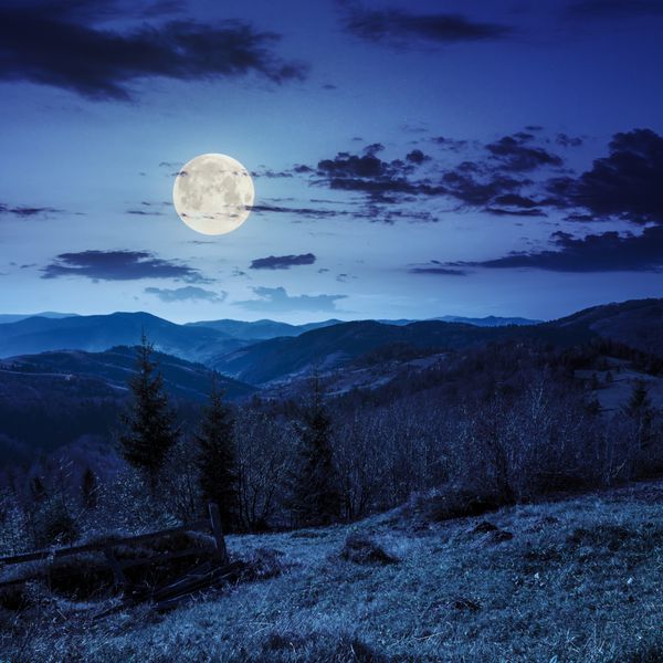 منظره پاییزی حصار در نزدیکی مسیر چمنزار در دامنه تپه جنگل در مه در کوه در شب در نور ماه کامل