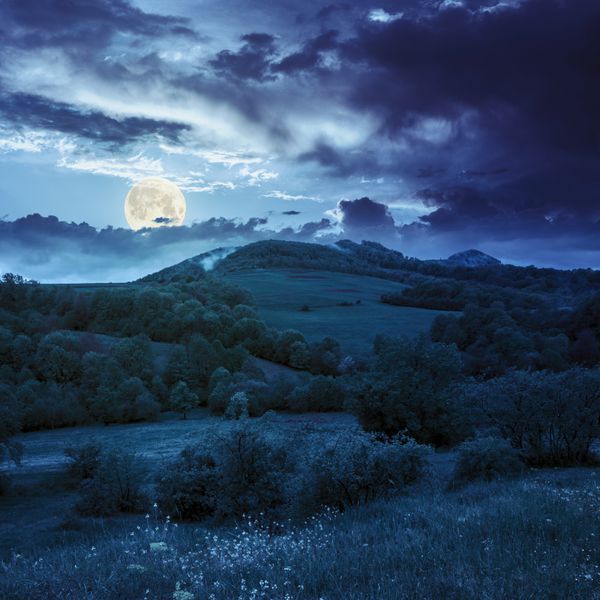 منظره پاییزی کوهستان درختان نزدیک چمنزار و جنگل در دامنه تپه زیر آسمان با ابرها در شب در نور ماه کامل