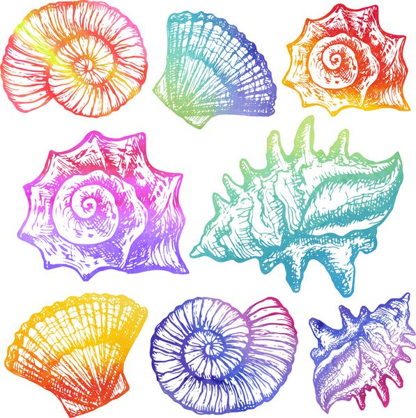 مجموعه ای با طراحی دستی از صدف های دریایی شیک رنگارنگ - وکتور آبرنگ با رنگ های روشن