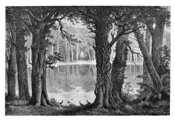 دریاچه لیگوری در آنگولا آفریقای جنوبی طراحی توسط de بر اساس نسخه انگلیسی تصویر قدیمی le tour du monde مجله مسافرتی 1881