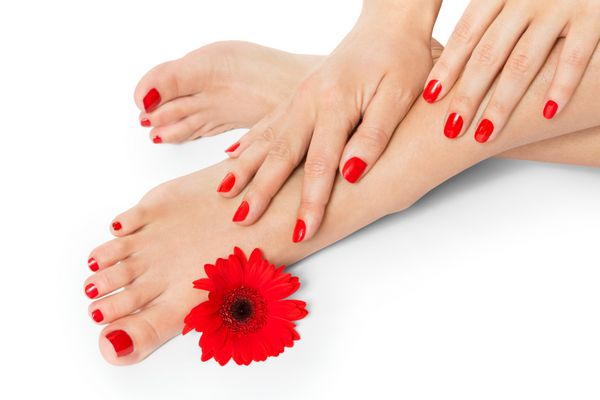 زنی با ناخن‌های زیبا و قرمز مانیکور شده پاهایش را با دست‌هایش روی قوزک‌هایش با گل ژربرا قرمز تازه در مفهوم زیبایی و مد