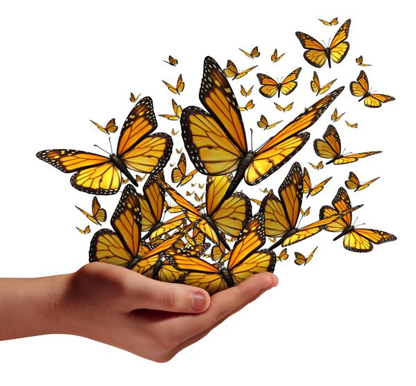مفهوم امید و آزادی به مثابه دستی از انسان که گروهی از پروانه ها را به عنوان نمادی برای ارتباطات آموزشی و گسترش ایده ها با بازاریابی اجتماعی جدا شده بر زمینه سفید جدا می کند