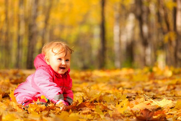 دختر کوچولوی ناز شاد در برگ های پاییزی