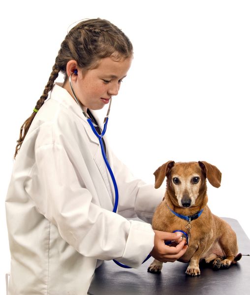 عکس عمودی دختر کوچکی که تظاهر به دامپزشکی می کند و به ضربان قلب سگ جدا شده روی پس زمینه سفید گوش می دهد