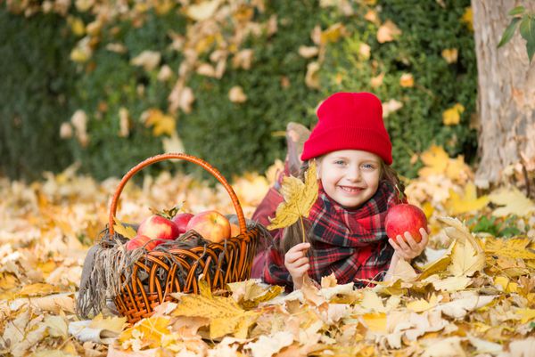 دختر کوچک در پارک پاییز با سبد سیب