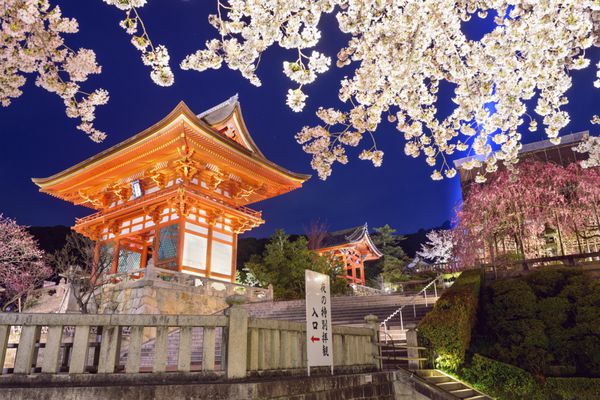 کیوتو ژاپن در زیارتگاه کیومیزو-درا در بهار