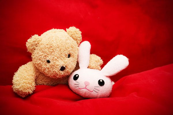 خرس عروسکی قهوه ای و خرگوش روی تخت قرمز