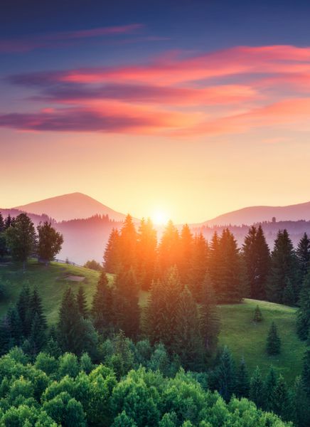 تپه های سبز زیبا که در هنگام گرگ و میش در زیر نور خورشید می درخشند صحنه دراماتیک آسمان رنگارنگ کارپات اوکراین اروپا دنیای زیبایی