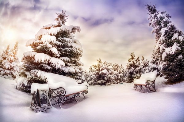 پارک زمستانی با درختان برفی و نیمکت در آسمان ابری طلوع آفتاب