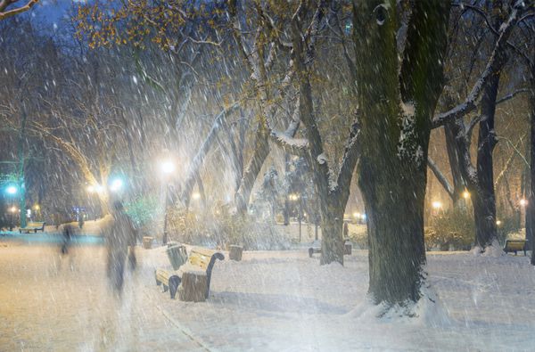 آب و هوای سخت در پارک مورد علاقه شهروندان کیف گرگ و میش پنهان مه و بارش برف درختان قدیمی به خواب رفتن نیمکت ها چراغ ها از میان مه می درخشند باد شدید دانه های برف را به سرعت در شاخه ها می وزاند