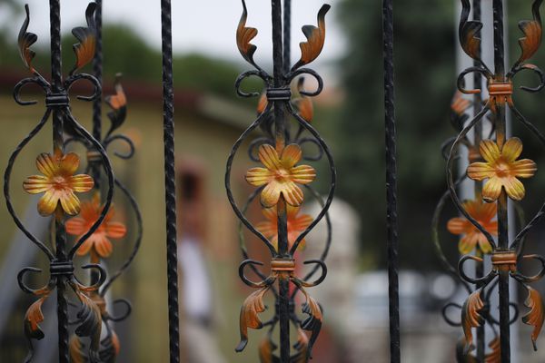 جزئیات فورج بخشی از نرده آهنی فرفورژه با گل های زرد طراحی جزئیات دروازه آهنی