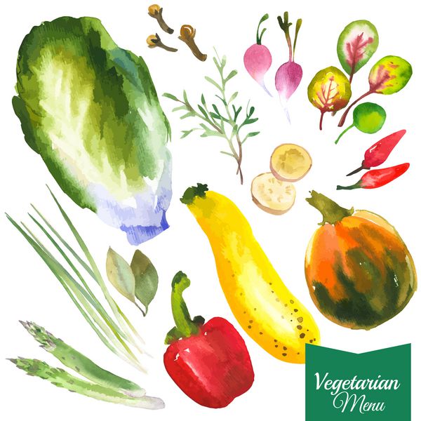 سبزیجات و گیاهان آبرنگ سبک پروانسالی نقاشی های آبرنگ اخیر از مواد غذایی ارگانیک تربچه کدو سبز فلفل برگ بو زنجبیل پیاز سبز مارچوبه رزماری میخک کدو تنبل