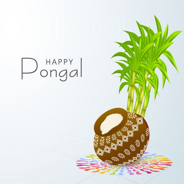 جشنواره برداشت هندی جنوبی جشن‌های شاد پونگال با برنج در گلدان سنتی و نیشکر روی زمینه آبی رنگارنگ تزئین شده است