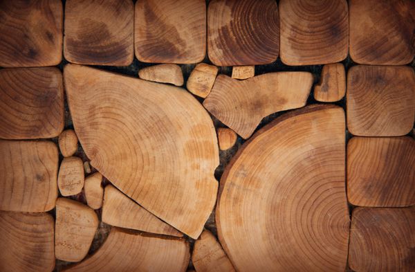 بافت چوبی تنه درخت بریده شده نمای نزدیک