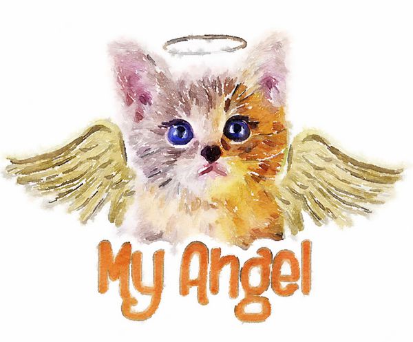 گربه تی شرت گرافیکی فرشته گربه تصویر آبرنگ