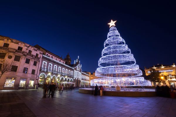 درخت بزرگ کریسمس در شهر براگا پرتغال