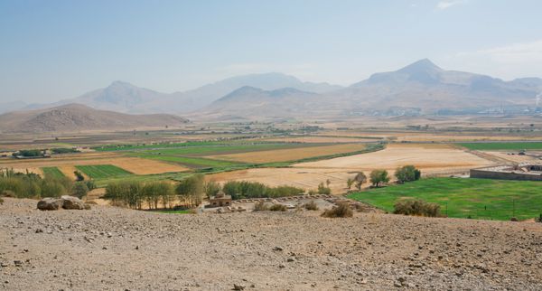 چشم انداز خاورمیانه با جنگل سرو کوه ها در پس زمینه