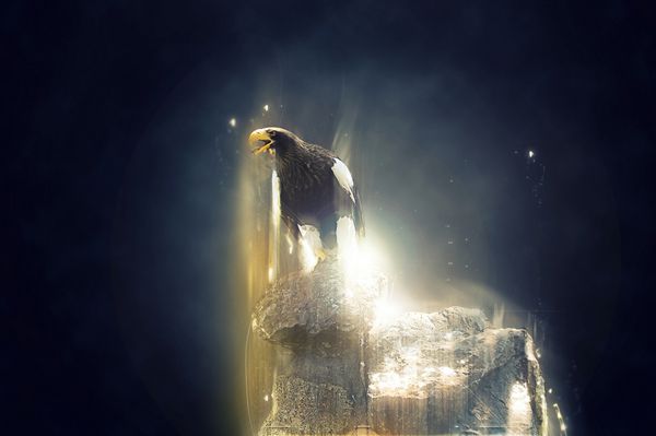 عقاب ایستاده روی یک مفهوم حیوانی انتزاعی می تواند برای کاغذ دیواری چاپ بوم دکوراسیون بنر گرافیک تی شرت تبلیغات استفاده شود