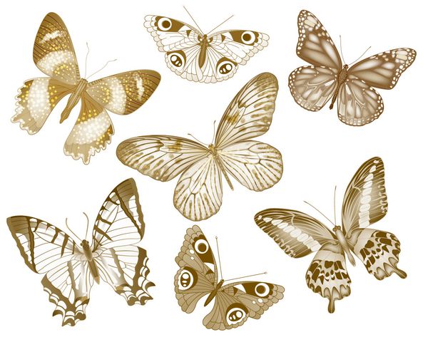 مجموعه ای از پروانه های وکتور مجموعه قدیمی حشرات برای طراحی و اسکرپ بوک