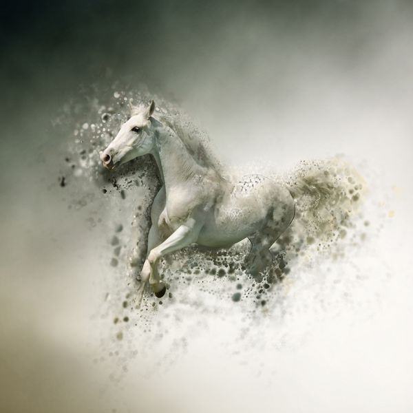 اسب سفید مفهوم حیوان می تواند برای کاغذ دیواری چاپ بوم دکوراسیون بنر گرافیک تی شرت تبلیغات استفاده شود